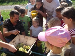 ovipfalu_18_20180901